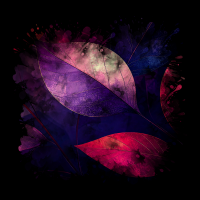 2025-DesignsbyForteMasked800x800-244
