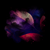 2025-DesignsbyForteMasked800x800-249 2025-DesignsbyForteMasked800x800-249