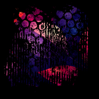 2025-DesignsbyForteMasked800x800-259