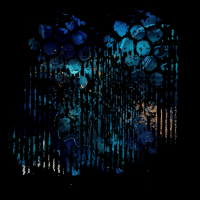 2025-DesignsbyForteMasked800x800-261