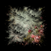 2025-DesignsbyForteMasked800x800-268