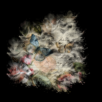 2025-DesignsbyForteMasked800x800-274