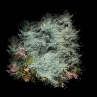 2025-DesignsbyForteMasked800x800-276