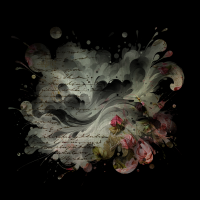 2025-DesignsbyForteMasked800x800-278