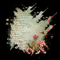 2025-DesignsbyForteMasked800x800-283