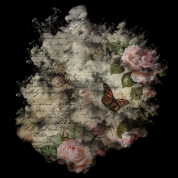 2025-DesignsbyForteMasked800x800-287