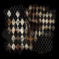 2025-DesignsbyForteMasked800x800-348