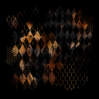 2025-DesignsbyForteMasked800x800-349