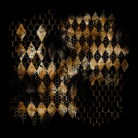 2025-DesignsbyForteMasked800x800-350