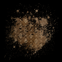 2025-DesignsbyForteMasked800x800-406