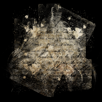 2025-DesignsbyForteMasked800x800-415