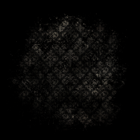2025-DesignsbyForteMasked800x800-417