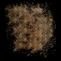 2025-DesignsbyForteMasked800x800-423
