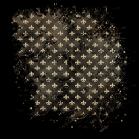 2025-DesignsbyForteMasked800x800-424