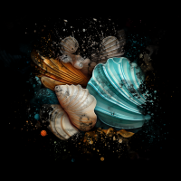 2025-DesignsbyForteMasked800x800-443