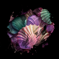 2025-DesignsbyForteMasked800x800-439