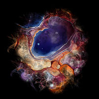 2025-DesignsbyForteMasked800x800-524