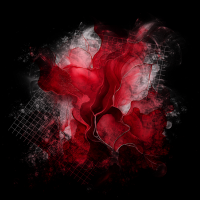 2025-DesignsbyForteMasked800x800-547