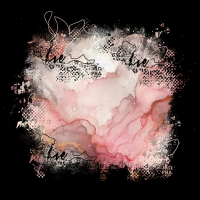 2025-DesignsbyForteMasked800x800-590