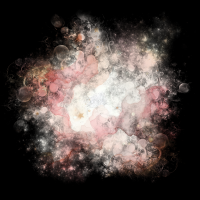 2025-DesignsbyForteMasked800x800-596