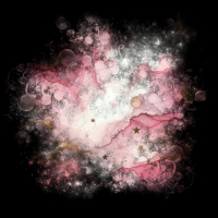 2025-DesignsbyForteMasked800x800-597