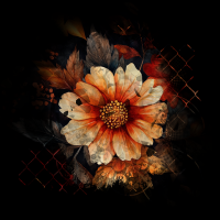 2025-DesignsbyForteMasked800x800-614