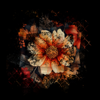 2025-DesignsbyForteMasked800x800-617