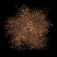 2025-DesignsbyForteMasked800x800-662