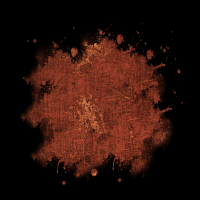 2025-DesignsbyForteMasked800x800-673