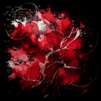2025-DesignsbyForteMasked800x800-694 2025-DesignsbyForteMasked800x800-694