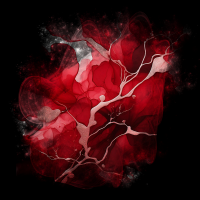 2025-DesignsbyForteMasked800x800-708 2025-DesignsbyForteMasked800x800-708