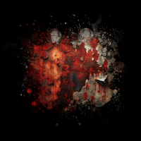 2025-DesignsbyForteMasked800x800-802