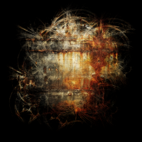 2025-DesignsbyForteMasked800x800-810