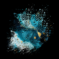 2025-DesignsbyForteMasked800x800-826