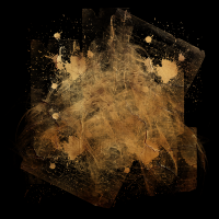 2025-DesignsbyForteMasked800x800-852