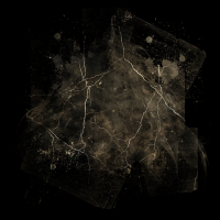 2025-DesignsbyForteMasked800x800-854