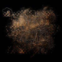 2025-DesignsbyForteMasked800x800-859