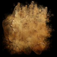 2025-DesignsbyForteMasked800x800-862