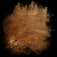 2025-DesignsbyForteMasked800x800-865