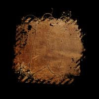 2025-DesignsbyForteMasked800x800-871