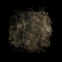 2025-DesignsbyForteMasked800x800-872