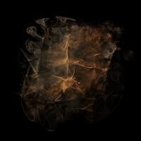 2025-DesignsbyForteMasked800x800-876