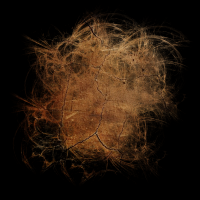 2025-DesignsbyForteMasked800x800-881