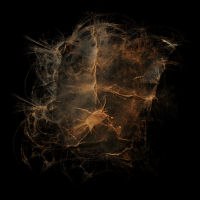 2025-DesignsbyForteMasked800x800-884