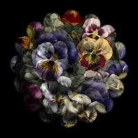 2026-DesignsbyForteSpringMasked800x800-21