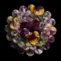 2026-DesignsbyForteSpringMasked800x800-22