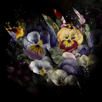 2026-DesignsbyForteSpringMasked800x800-30