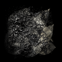 2026-DesignsbyForteMasked800x800-002