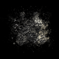 2026-DesignsbyForteMasked800x800-012