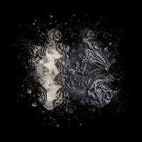 2026-DesignsbyForteMasked800x800-013 2026-DesignsbyForteMasked800x800-013